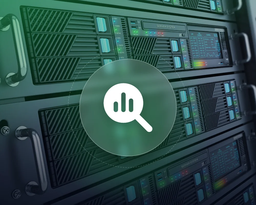 SEO Hosting Satın Al